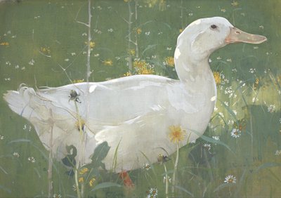 De Witte Eend door Joseph Crawhall
